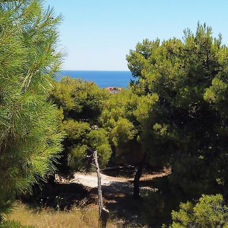 Fistiki Rooms Agia Marina  Exterior photo