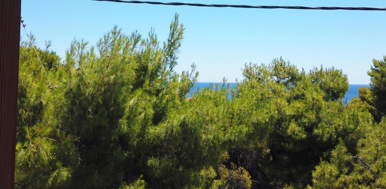 Fistiki Rooms Agia Marina  Exterior photo