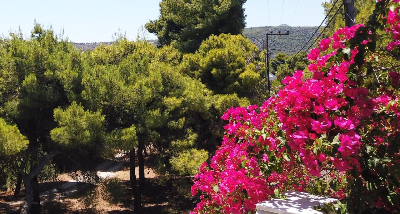 Fistiki Rooms Agia Marina  Exterior photo